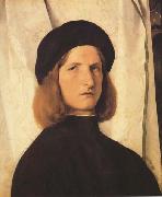 Lorenzo Lotto Young Man Before a White Curtain (mk45) oil on canvas